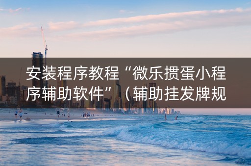 安装程序教程“微乐掼蛋小程序辅助软件”（辅助挂发牌规律)