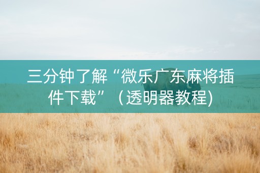 三分钟了解“微乐广东麻将插件下载”（透明器教程)
