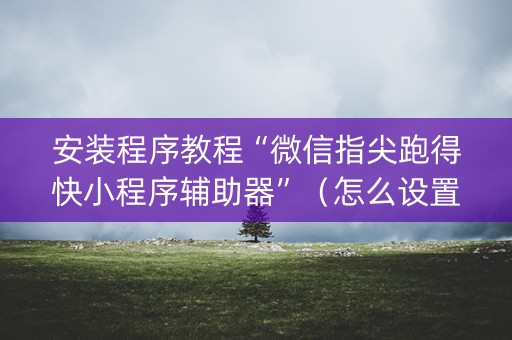 安装程序教程“微信指尖跑得快小程序辅助器”（怎么设置能有好牌)