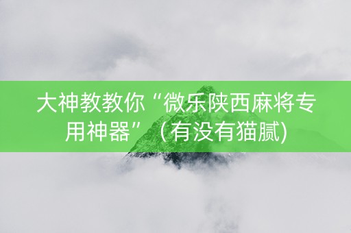大神教教你“微乐陕西麻将专用神器”（有没有猫腻)