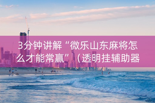 3分钟讲解“微乐山东麻将怎么才能常赢”（透明挂辅助器)