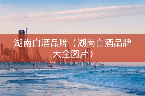 湖南白酒品牌（湖南白酒品牌大全图片）
