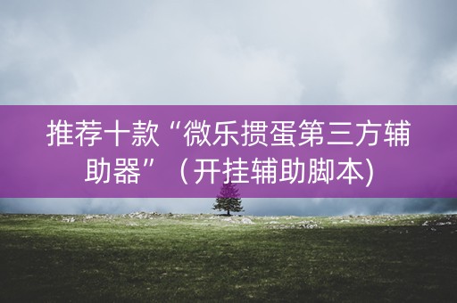 推荐十款“微乐掼蛋第三方辅助器”（开挂辅助脚本)