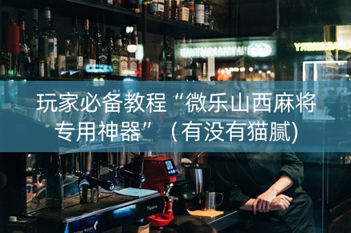 玩家必备教程“微乐山西麻将专用神器”（有没有猫腻)