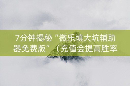 7分钟揭秘“微乐填大坑辅助器免费版”（充值会提高胜率么)