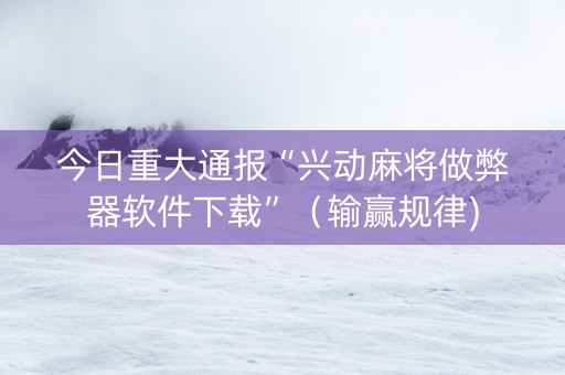 今日重大通报“兴动麻将做弊器软件下载”（输赢规律)
