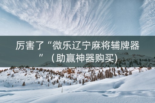 厉害了“微乐辽宁麻将辅牌器”（助赢神器购买)