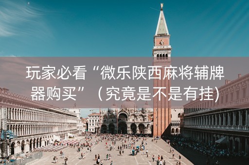玩家必看“微乐陕西麻将辅牌器购买”（究竟是不是有挂)