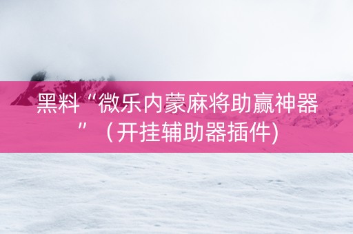 黑料“微乐内蒙麻将助赢神器”（开挂辅助器插件)