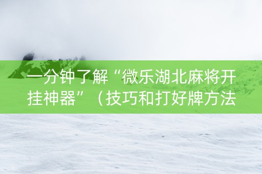 一分钟了解“微乐湖北麻将开挂神器”（技巧和打好牌方法)