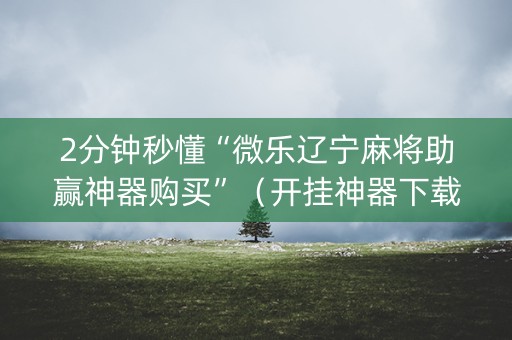 2分钟秒懂“微乐辽宁麻将助赢神器购买”（开挂神器下载)