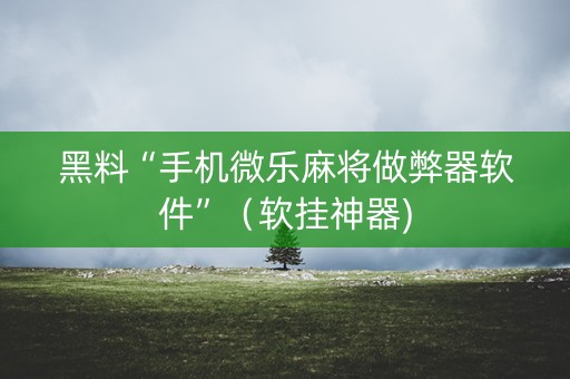 黑料“手机微乐麻将做弊器软件”（软挂神器)