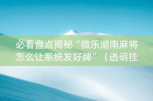 必看盘点揭秘“微乐湖南麻将怎么让系统发好牌”（透明挂辅助器)