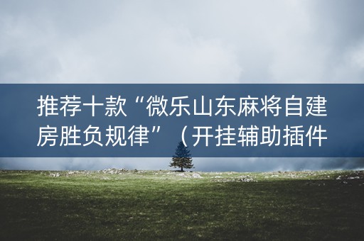 推荐十款“微乐山东麻将自建房胜负规律”（开挂辅助插件)