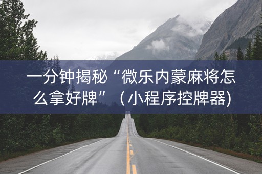 一分钟揭秘“微乐内蒙麻将怎么拿好牌”（小程序控牌器)
