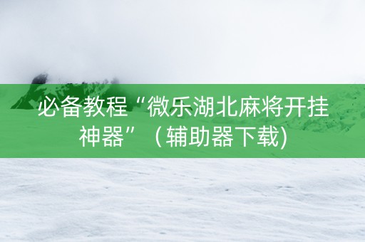 必备教程“微乐湖北麻将开挂神器”（辅助器下载)