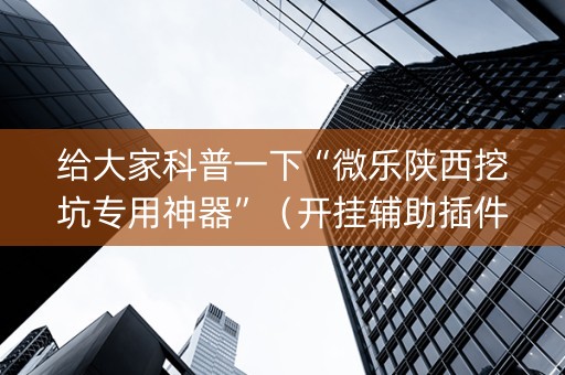 给大家科普一下“微乐陕西挖坑专用神器”（开挂辅助插件)