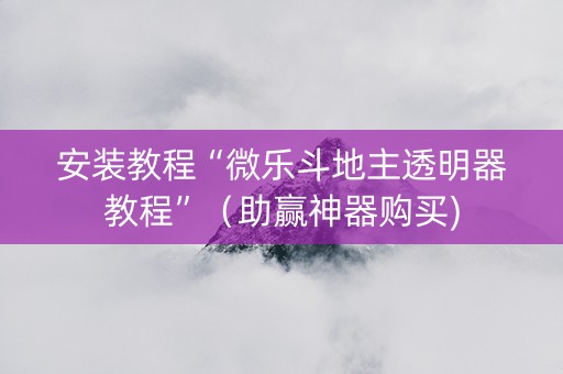 安装教程“微乐斗地主透明器教程”（助赢神器购买)