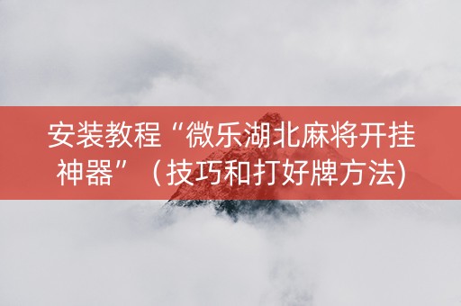 安装教程“微乐湖北麻将开挂神器”（技巧和打好牌方法)