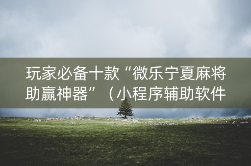 玩家必备十款“微乐宁夏麻将助赢神器”（小程序辅助软件)