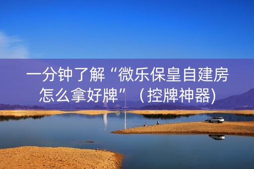 一分钟了解“微乐保皇自建房怎么拿好牌”（控牌神器)