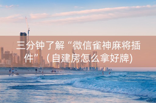 三分钟了解“微信雀神麻将插件”（自建房怎么拿好牌)