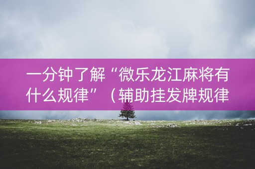 一分钟了解“微乐龙江麻将有什么规律”（辅助挂发牌规律)