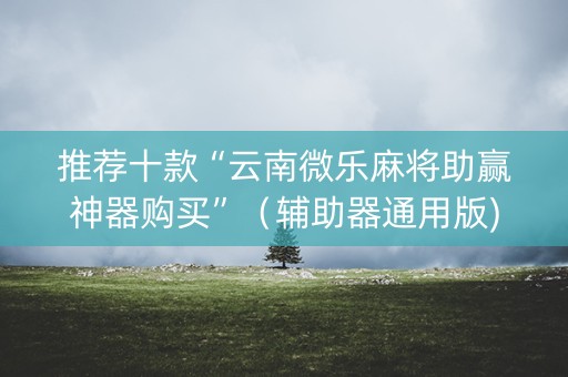 推荐十款“云南微乐麻将助赢神器购买”（辅助器通用版)