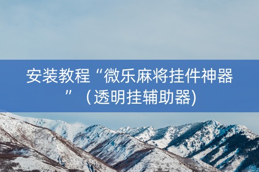 安装教程“微乐麻将挂件神器”（透明挂辅助器)