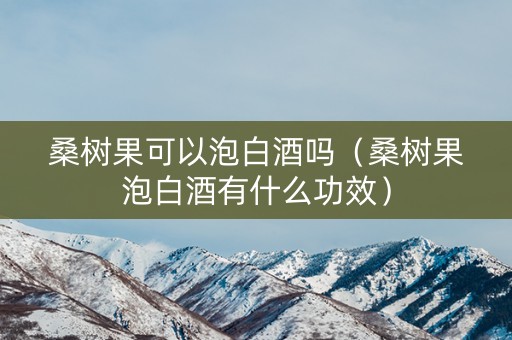 桑树果可以泡白酒吗（桑树果泡白酒有什么功效）