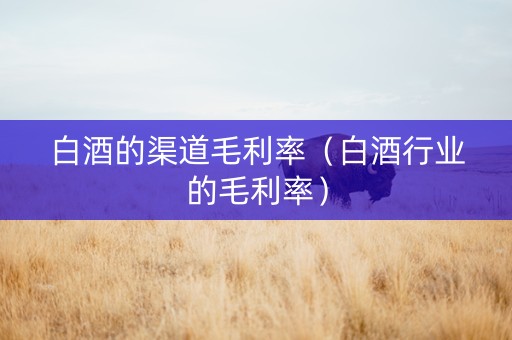 白酒的渠道毛利率（白酒行业的毛利率）