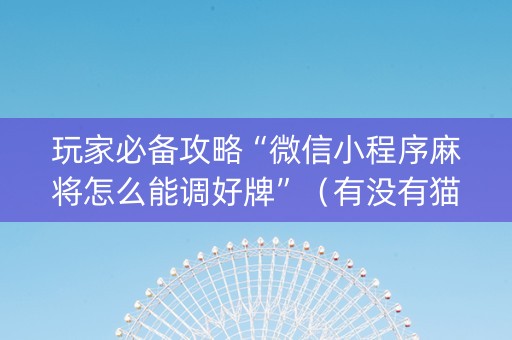 玩家必备攻略“微信小程序麻将怎么能调好牌”（有没有猫腻)