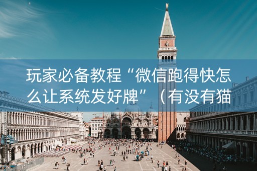 玩家必备教程“微信跑得快怎么让系统发好牌”（有没有猫腻)
