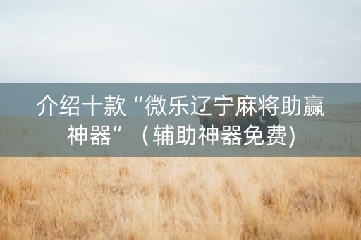 介绍十款“微乐辽宁麻将助赢神器”（辅助神器免费)