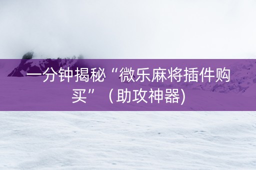 一分钟揭秘“微乐麻将插件购买”（助攻神器)