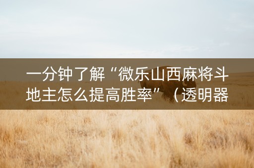 一分钟了解“微乐山西麻将斗地主怎么提高胜率”（透明器教程)