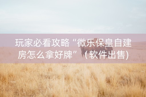 玩家必看攻略“微乐保皇自建房怎么拿好牌”（软件出售)