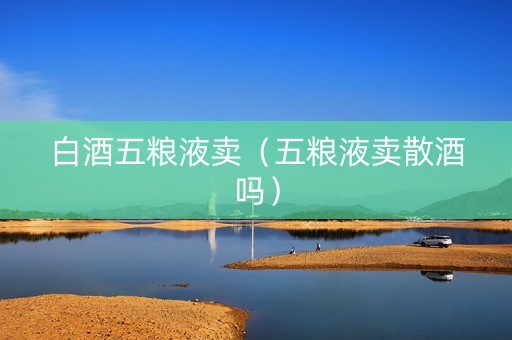 白酒五粮液卖（五粮液卖散酒吗）