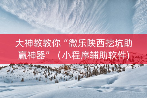 大神教教你“微乐陕西挖坑助赢神器”（小程序辅助软件)