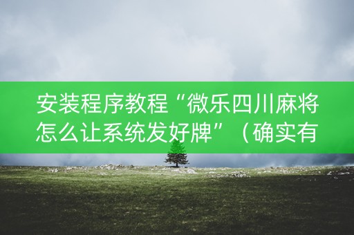 安装程序教程“微乐四川麻将怎么让系统发好牌”（确实有插件吗)
