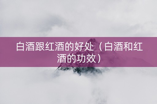 白酒跟红酒的好处（白酒和红酒的功效）