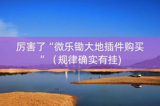 厉害了“微乐锄大地插件购买”（规律确实有挂)