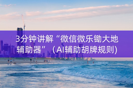 3分钟讲解“微信微乐锄大地辅助器”（AI辅助胡牌规则)