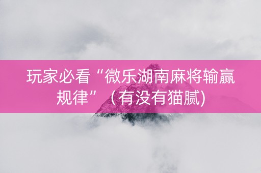 玩家必看“微乐湖南麻将输赢规律”（有没有猫腻)