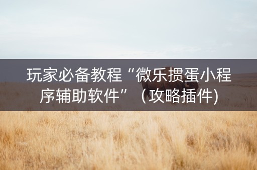 玩家必备教程“微乐掼蛋小程序辅助软件”（攻略插件)
