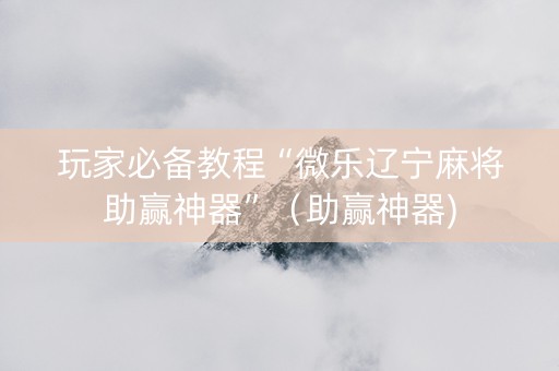 玩家必备教程“微乐辽宁麻将助赢神器”（助赢神器)