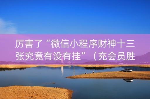 厉害了“微信小程序财神十三张究竟有没有挂”（充会员胜率高)