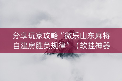分享玩家攻略“微乐山东麻将自建房胜负规律”（软挂神器)