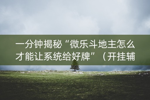 一分钟揭秘“微乐斗地主怎么才能让系统给好牌”（开挂辅助脚本)