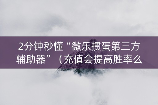 2分钟秒懂“微乐掼蛋第三方辅助器”（充值会提高胜率么)